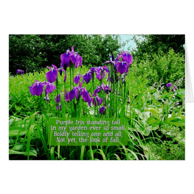 Paarse Iris Standing Tall (Voorkant Horizontaal)