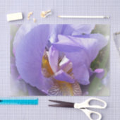 paarse iris tissuepapier (Craft)