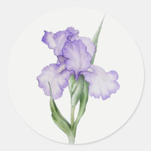 Paarse Iris Tuin Bloem Florale kunst Ronde Sticker