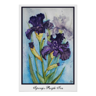 Paarse Iris van de Lente Perfect Poster