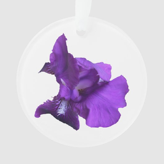 Paarse Iris-ventilator Ornament (voorkant)