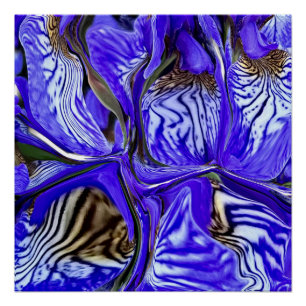 Paarse Iris-ventilator Perfect Poster
