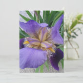 Paarse Iris ventilatorblanco Kaart (Staand voorkant)