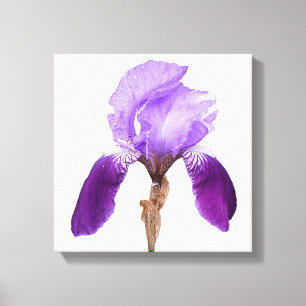 paarse irisbloem Moderne bloemenkunst Canvas Afdruk