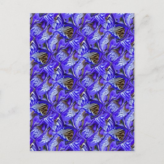 Paarse irisbloem / schuin / betegeld / briefkaart (Voorkant)