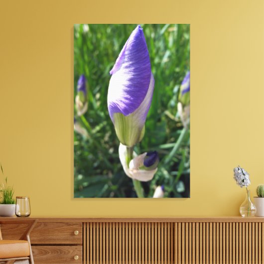 paarse irisbuis canvas afdruk (Insitu (Woonkamer))