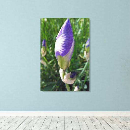 paarse irisbuis canvas afdruk (Insitu (Houten vloer))