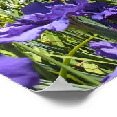 Paarse Irises en het Poster Blue Sky (Hoek)