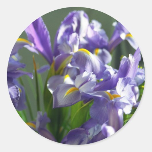 Paarse Irises Flower Art Sticker Decals (Voorkant)