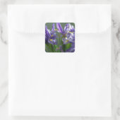 Paarse Irises Flower Art Sticker Decals (Tas)