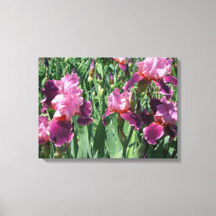 Paarse Irises Spring Floral Canvas Afdruk