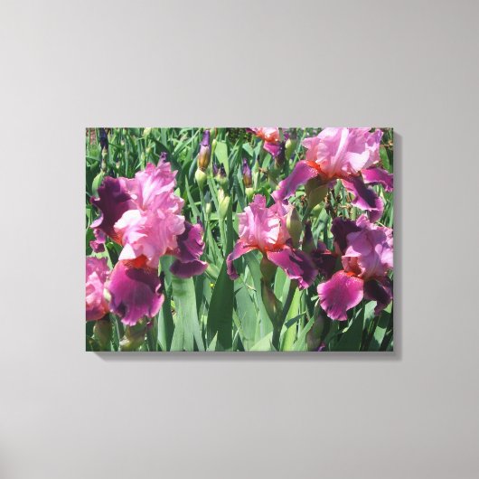 Paarse Irises Spring Floral Canvas Afdruk (Voorkant)