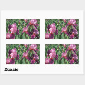 Paarse Irises Spring Floral Rechthoekige Sticker (Vel)