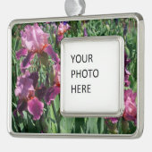 Paarse Irises Spring Floral Verzilverd Kader Ornament (Links)