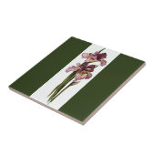 Paarse Irisk Dark Green Tegeltje (Zijkant)