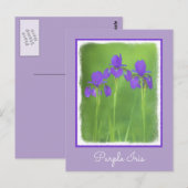 Paarse irisschildering - Oorspronkelijke blowerend Briefkaart (Voorkant / Achterkant)