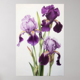 Paarse irissen bloemenkunst print Poster