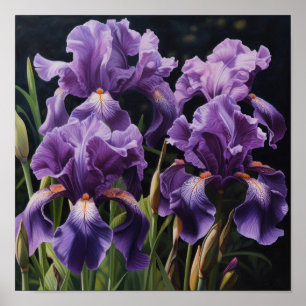 Paarse irissen bloemenkunst print Poster