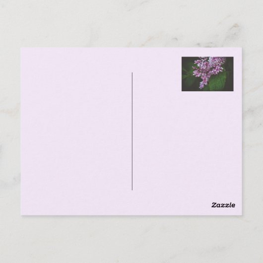 Paarse irissen  briefkaart (Achterkant)