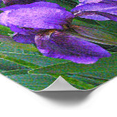 "PAARSE IRISSEN" POSTER (Hoek)