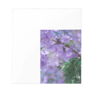 Paarse Jacaranda-boombloemen Notitieblok