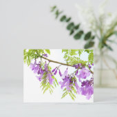 Paarse Jacaranda Flowers Briefkaart (Staand voorkant)