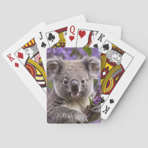 Paarse Jacaranda Koala Beer, Pokerkaarten