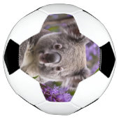 Paarse Jacaranda Koala Beer, Voetbal (Gedraaid)