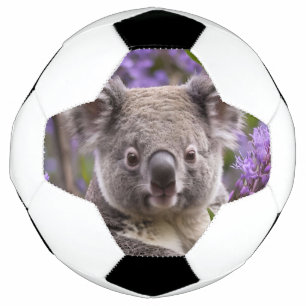 Paarse Jacaranda Koala Beer, Voetbal