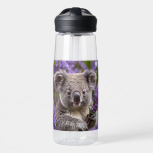 Paarse Jacaranda Koala Beer, Waterfles