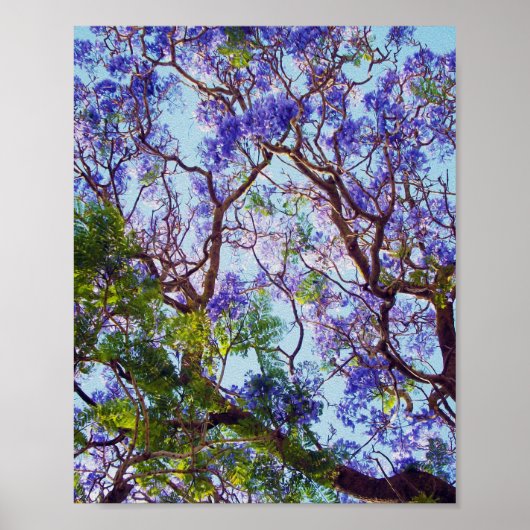Paarse Jacaranda Tree Oil Painting, Poster (Voorkant)