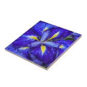 Paarse japanse iris bloemig tegeltje (Zijkant)