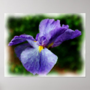 Paarse Japanse Iris Flower Art-fotoschildering Poster