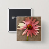 Paarse kone ventilator Echinacea purpureum Vierkante Button 5,1 Cm (Voorkant /achterkant)