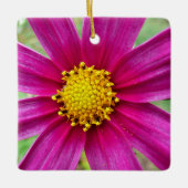 Paarse kosmos Wilde bloem Keramisch Ornament (Voorkant)