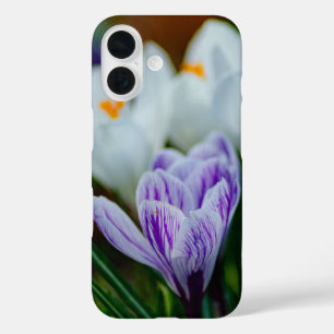Paarse krokus lente bloemen iPhone 16 hoesje