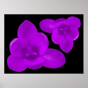 Paarse Krokus Print