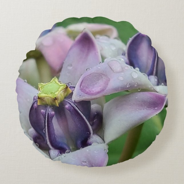 Paarse kroon bloemkussen rond kussen (Voorkant)