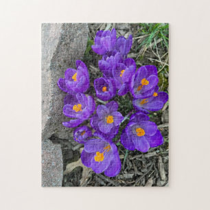  Paarse Kroonbloemen in tuinpuzzels Legpuzzel