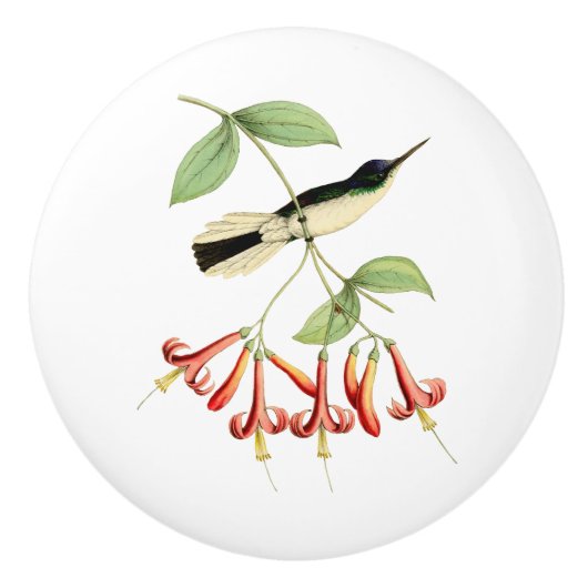 Paarse krowned Fairy Hummingbird Keramische Knop (Voorkant)