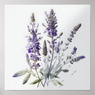 Paarse Lavendel Flowers Art Print Poster