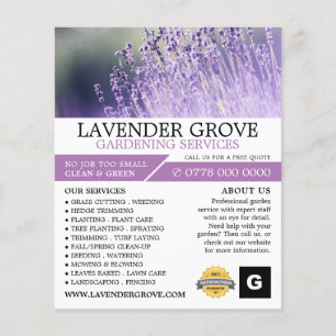 Paarse lavendel, tuinbouwdienst, tuinbouwkundige flyer