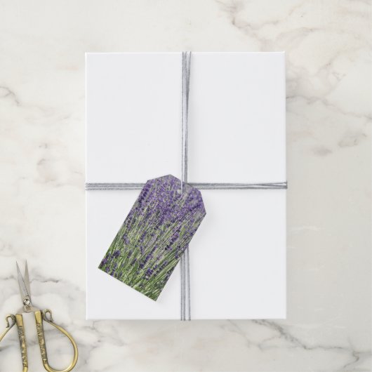 Paarse Lavender Fields Floral Cadeaulabel (Met Touw)