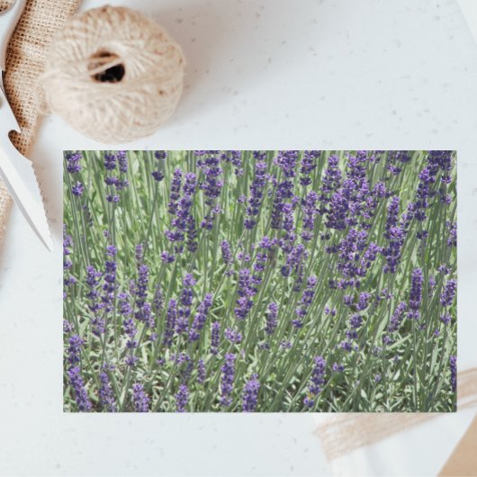 Paarse Lavender Fields Floral Tissuepapier