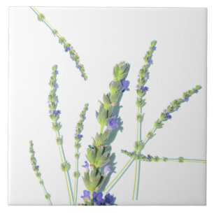 Paarse lavenderbloemen tegeltje