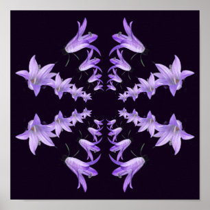 Paarse leliebloemen spiegelen Abstracte kunst Poster