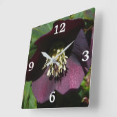 Paarse Lenten Roos Sneller Vierkante Klok (Hoek)