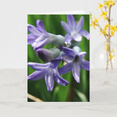 Paarse lentevloeren kaart (Gele Bloem)