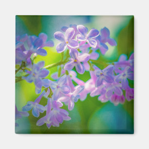 Paarse Lila bloemen Magneet