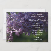 Paarse Lila-bloementspartij Kaart (Voorkant)